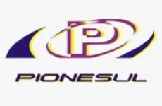 Pionesul